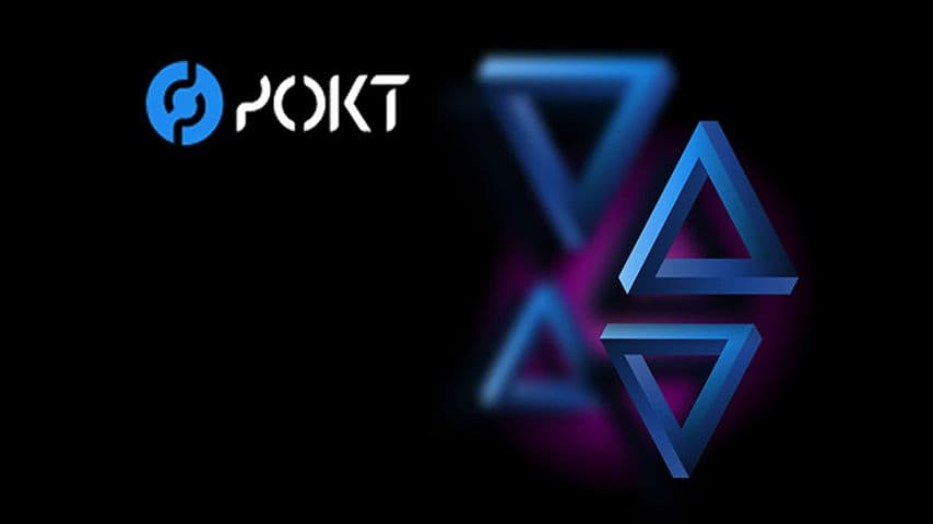 شبکه Pocket چیست؟