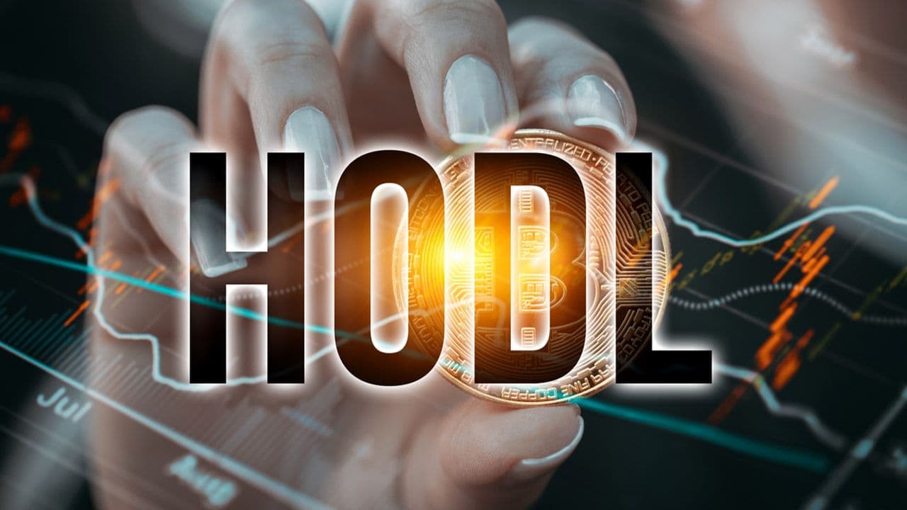 هودل (HODL) ارز دیجیتال چیست؟