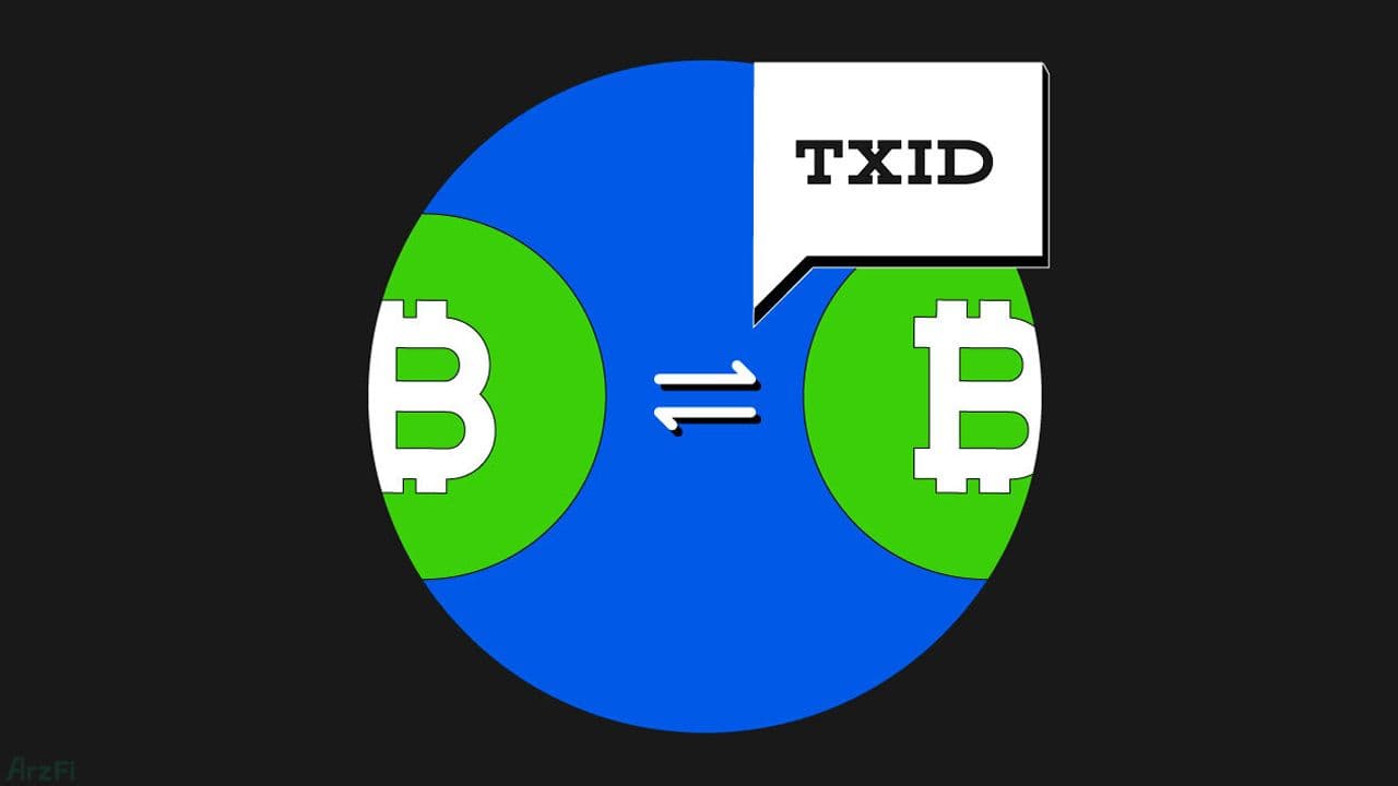 فناوری هش تراکنش TXID چیست؟