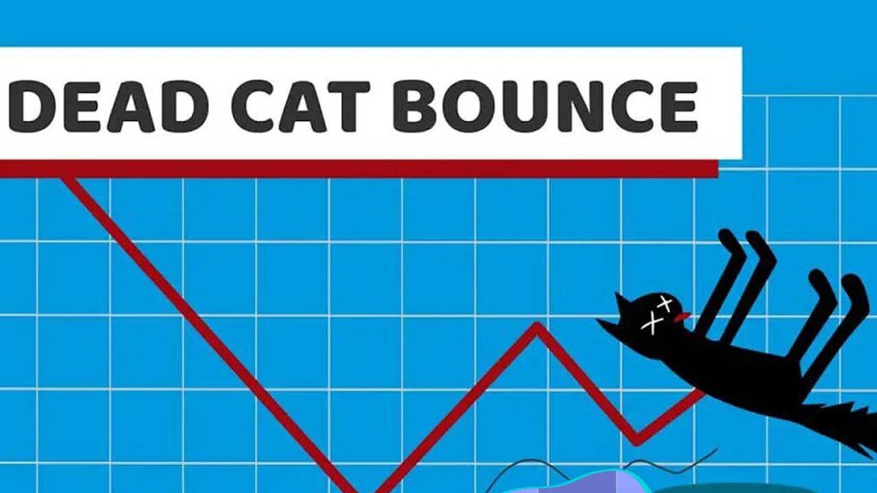 بررسی-الگوی-جهش-گربه-مرده-(dead-cat-bounce)-در-بازارهای-مالی!