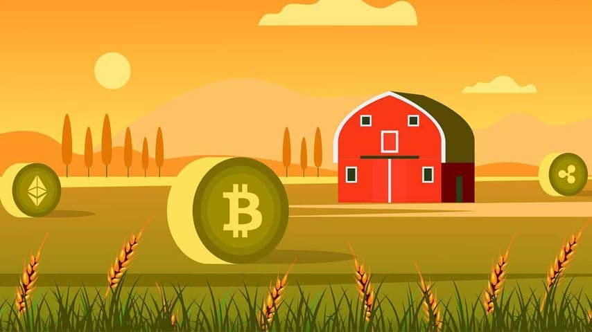 ییلد فارمینگ Yield Farming ارز دیجیتال